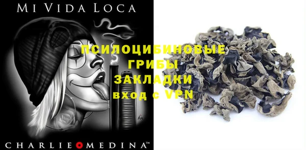 прущие грибы Абаза