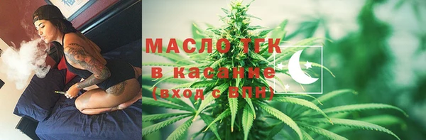 прущие грибы Абаза