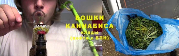 прущие грибы Абаза