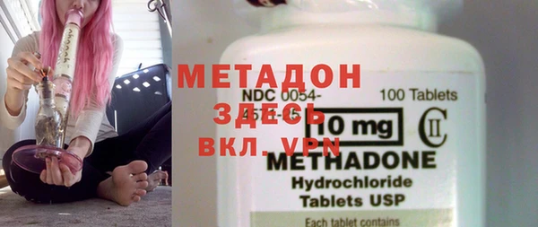 прущие грибы Абаза
