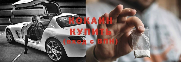 прущие грибы Абаза