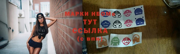 прущие грибы Абаза