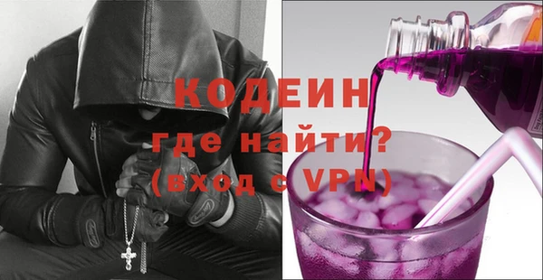 прущие грибы Абаза