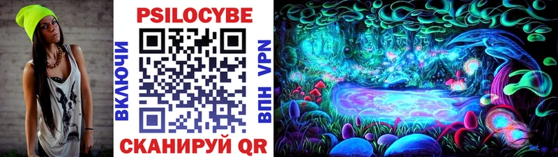Галлюциногенные грибы Psilocybe  купить закладку  shop официальный сайт  Урень 